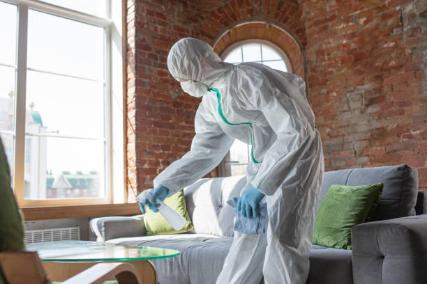 Mold Remediation for Vacation Homes in Bedminster, NJ